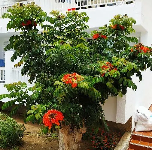 Apartman Club El Paradero Playa de las Américas